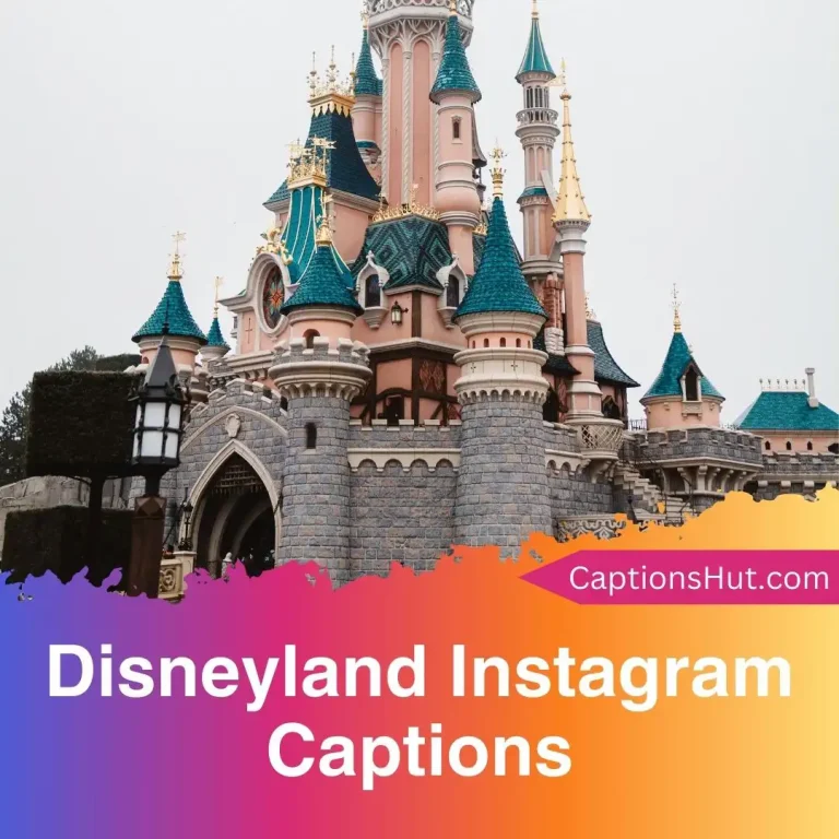 250+ Disneyland Instagram captions with emojis, Copy-Paste