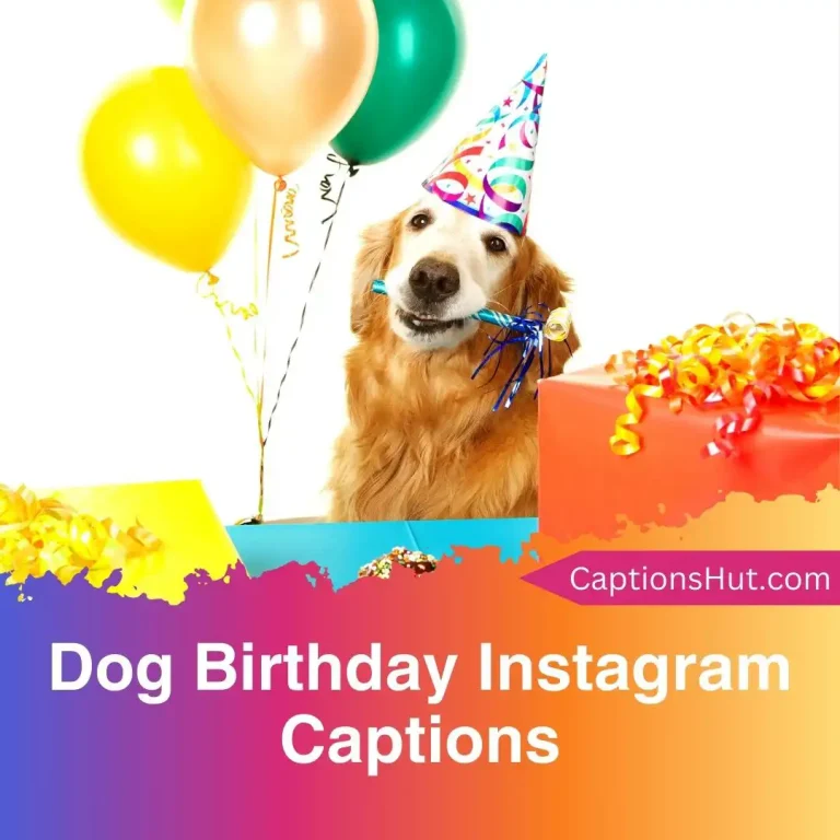 180+ dog birthday Instagram captions with emojis, Copy-Paste
