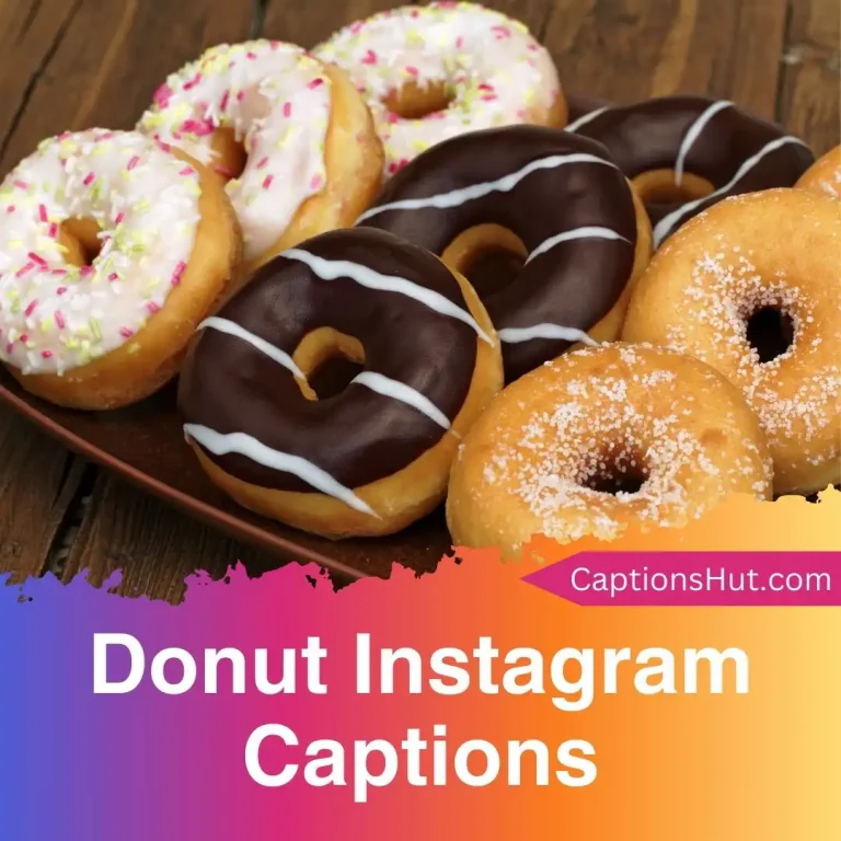 200+ donut Instagram captions with emojis, Copy-Paste