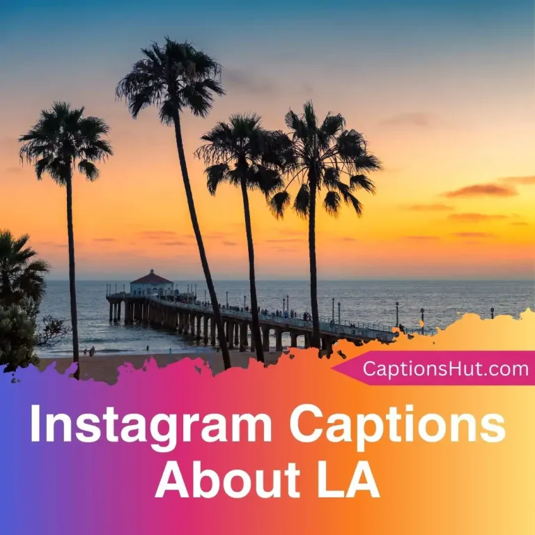 150+ Instagram Captions About LA With Emojis, Copy-Paste