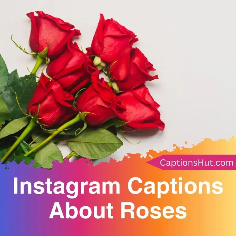 150+ Instagram Captions About Roses With Emojis, Copy-Paste