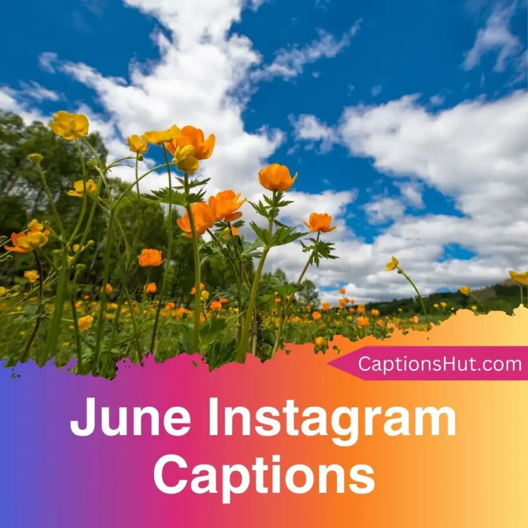 300+ June Instagram captions with emojis, Copy-Paste