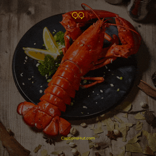 Lobster Instagram Captions image 1