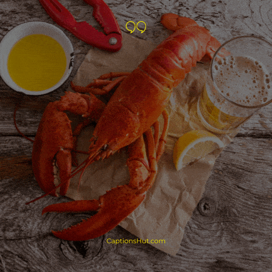 Lobster Instagram Captions image 2