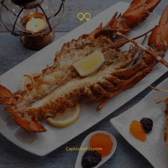 Lobster Instagram Captions image 4
