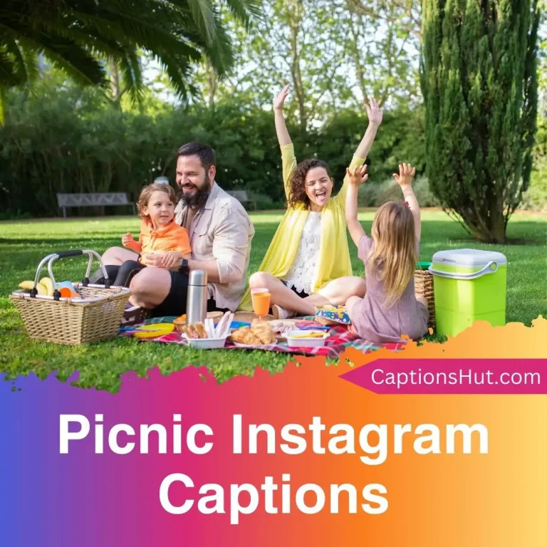 250+ Picnic Instagram Captions With Emojis, Copy-Paste