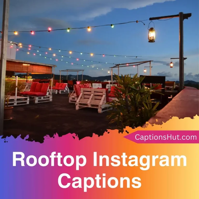 150+ Rooftop Instagram Captions With Emojis, Copy-Paste