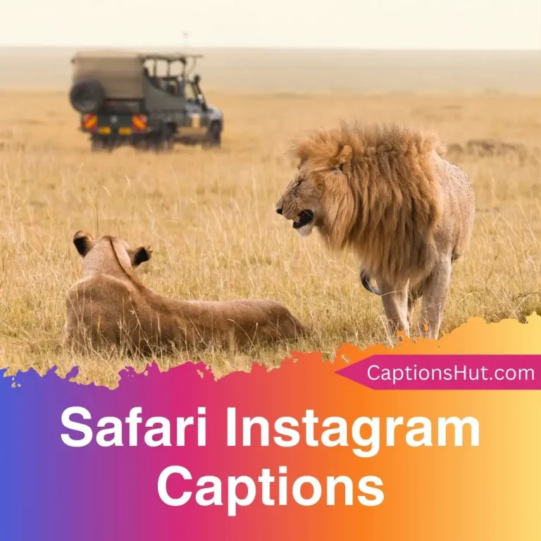 101 safari instagram captions with emojis, Copy-Paste