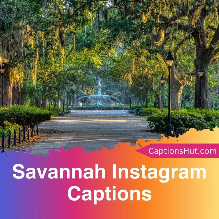 150+ Savannah Instagram Captions With Emojis, Copy-Paste