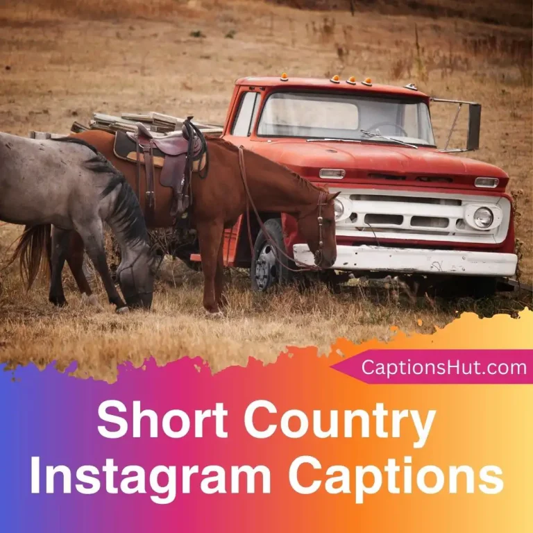 200+ short country Instagram captions with emojis, Copy-Paste