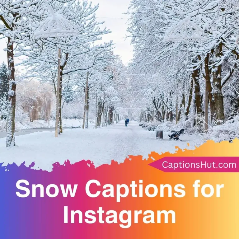 300+ snow captions for Instagram with emojis, Copy-Paste