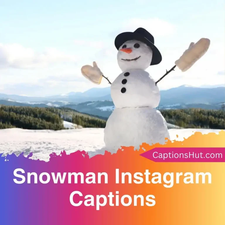 101 snowman instagram captions with emojis, Copy-Paste