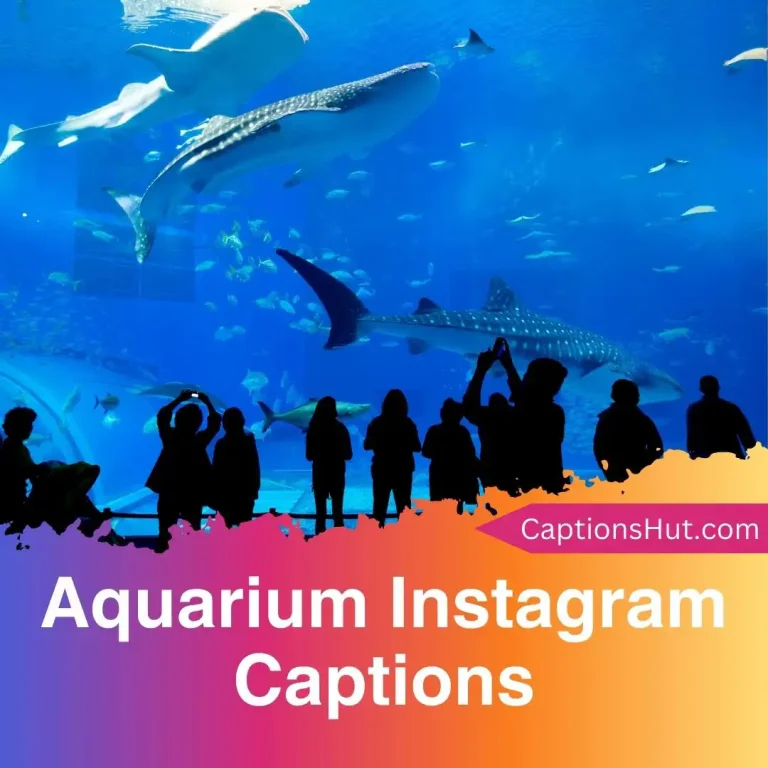 150+ Aquarium Instagram Captions With Emojis, Copy-Paste