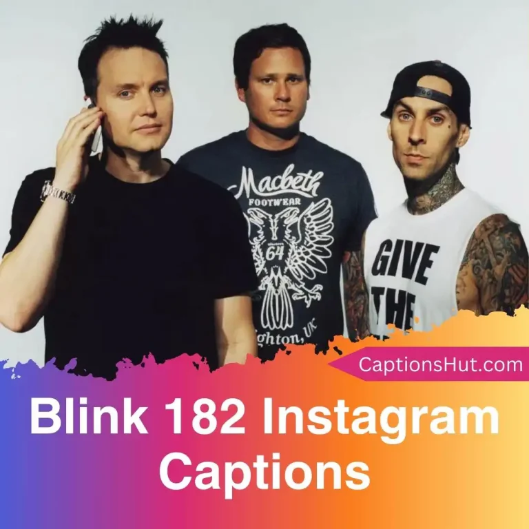 150+ Blink 182 Instagram Captions With Emojis, Copy-Paste