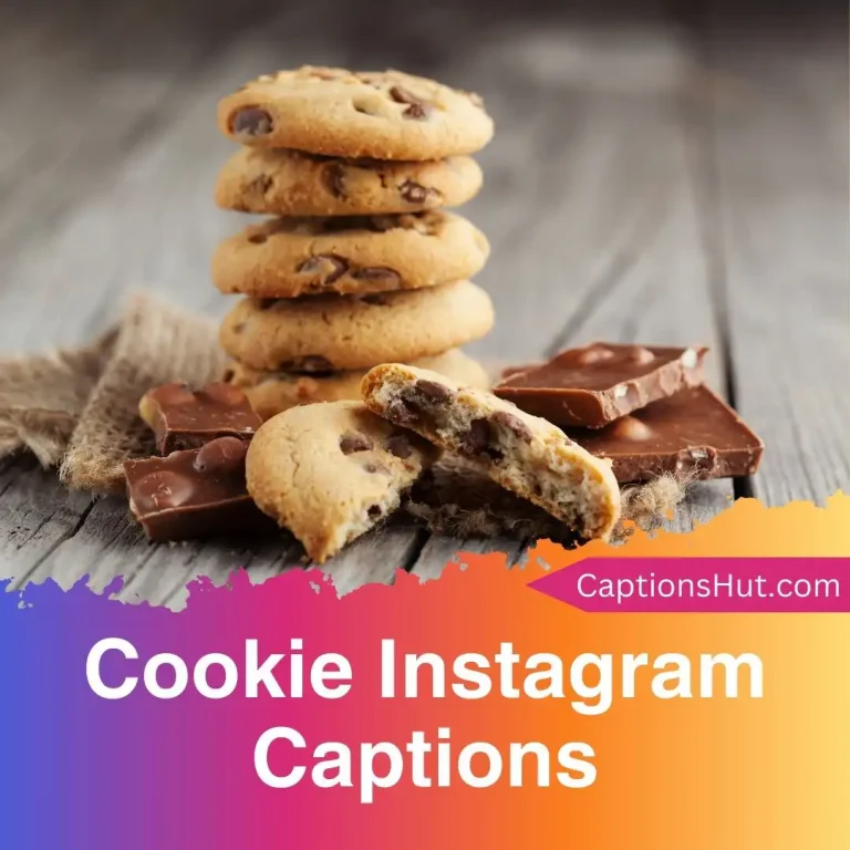 150+ Cookie Instagram Captions With Emojis, Copy-Paste