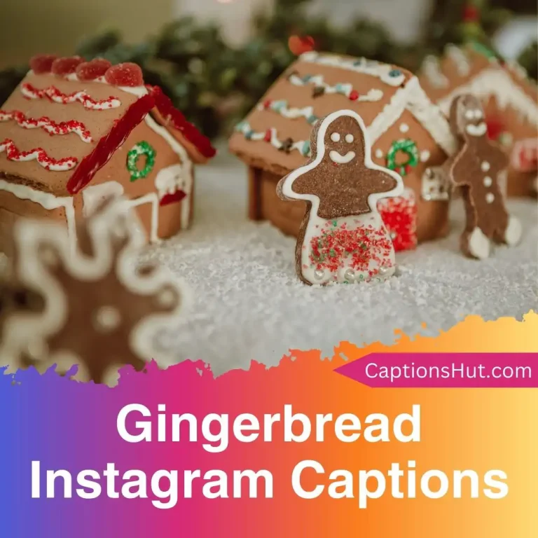 150+ Gingerbread Instagram Captions With Emojis, Copy-Paste