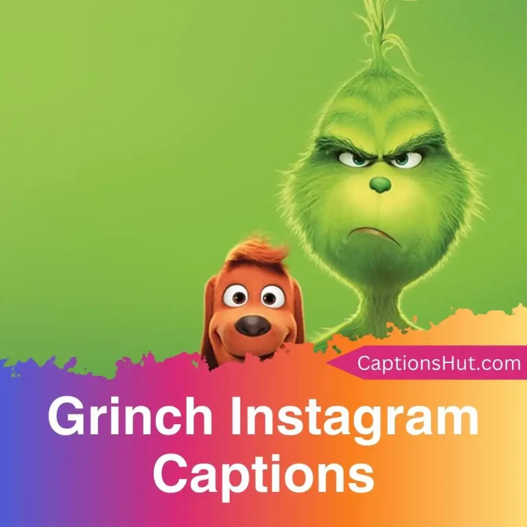 150+ Grinch Instagram Captions With Emojis, Copy-Paste