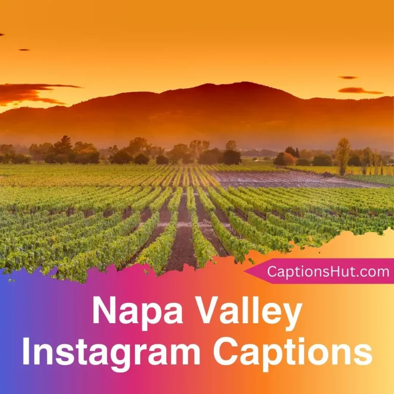 150+ Napa Valley Instagram Captions With Emojis, Copy-Paste