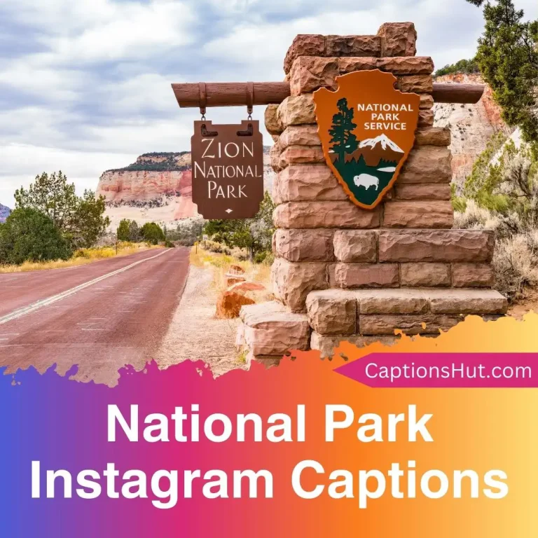 150+ National Park Instagram Captions With Emojis, Copy-Paste