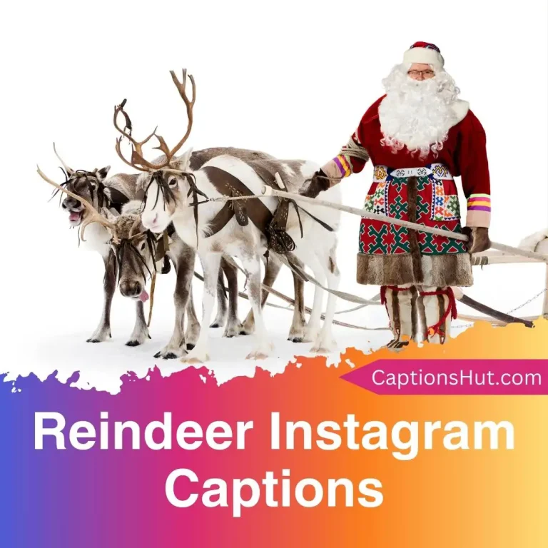 150+ Reindeer Instagram Captions With Emojis, Copy-Paste
