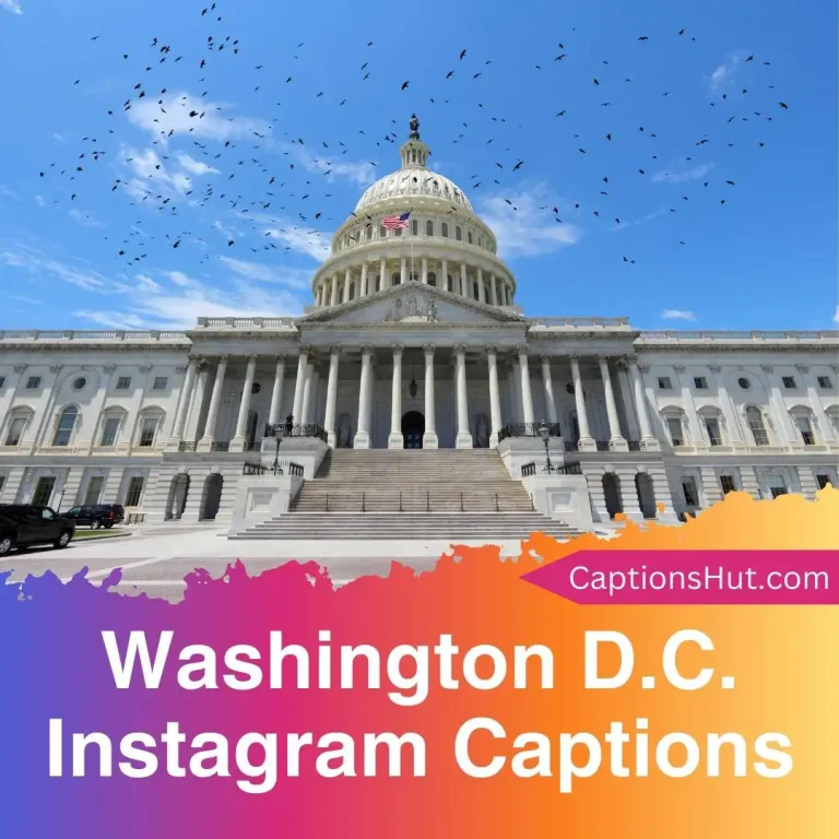 150+ Washington D.C. Instagram Captions With Emojis, Copy-Paste
