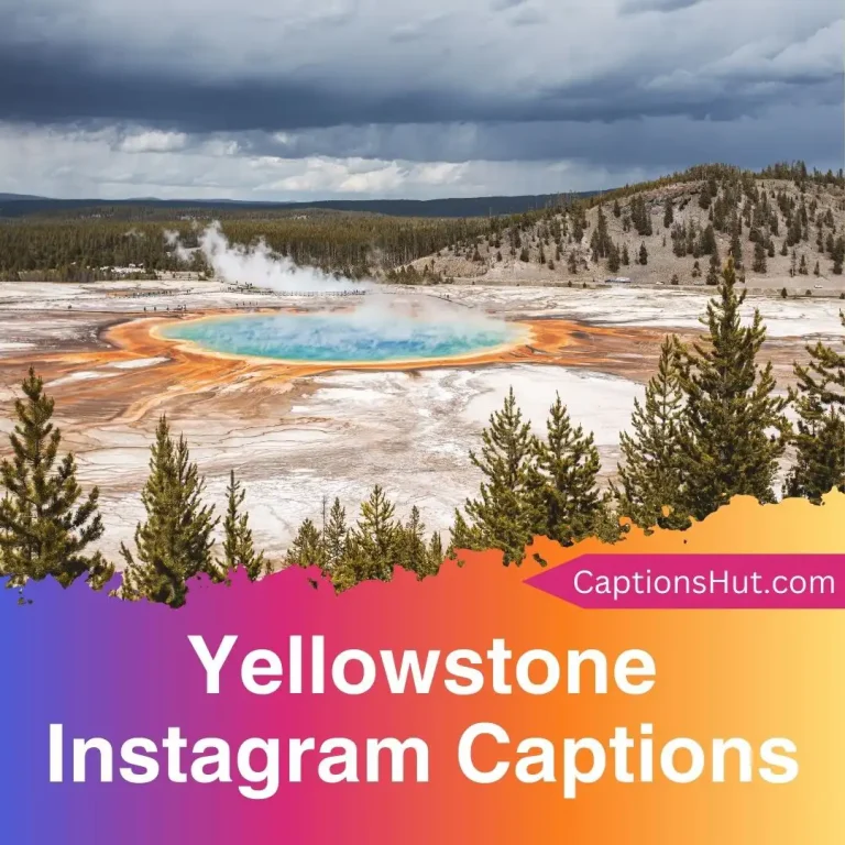 150+ Yellowstone Instagram Captions With Emojis, Copy-Paste