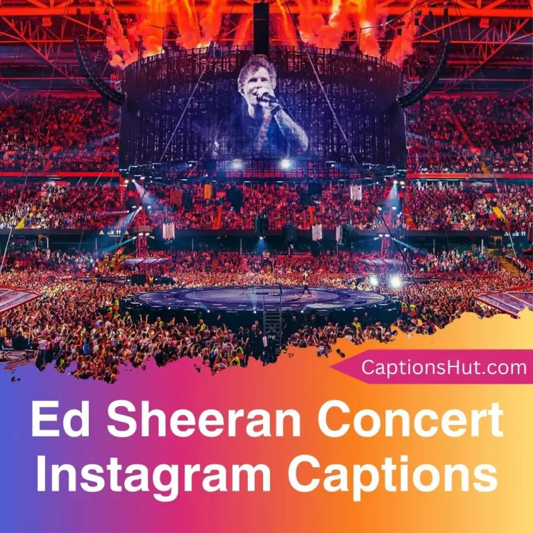 150+ Ed Sheeran Concert Instagram Captions With Emojis