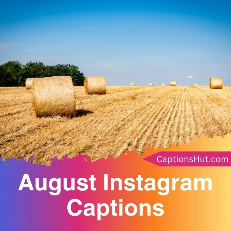 150+ August Instagram Captions With Emojis, Copy-Paste