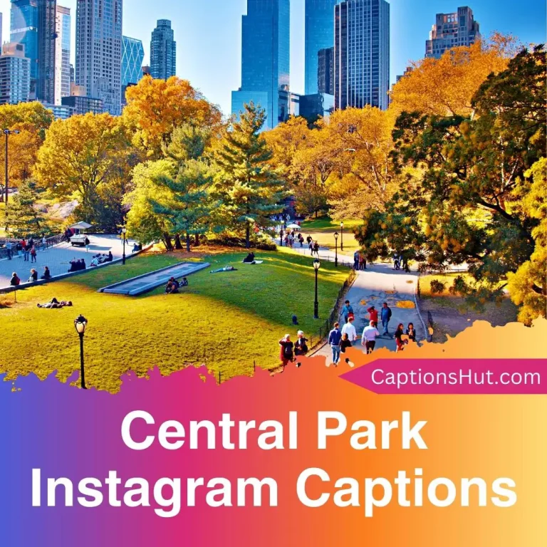 150+ Central Park Instagram Captions With Emojis, Copy-Paste