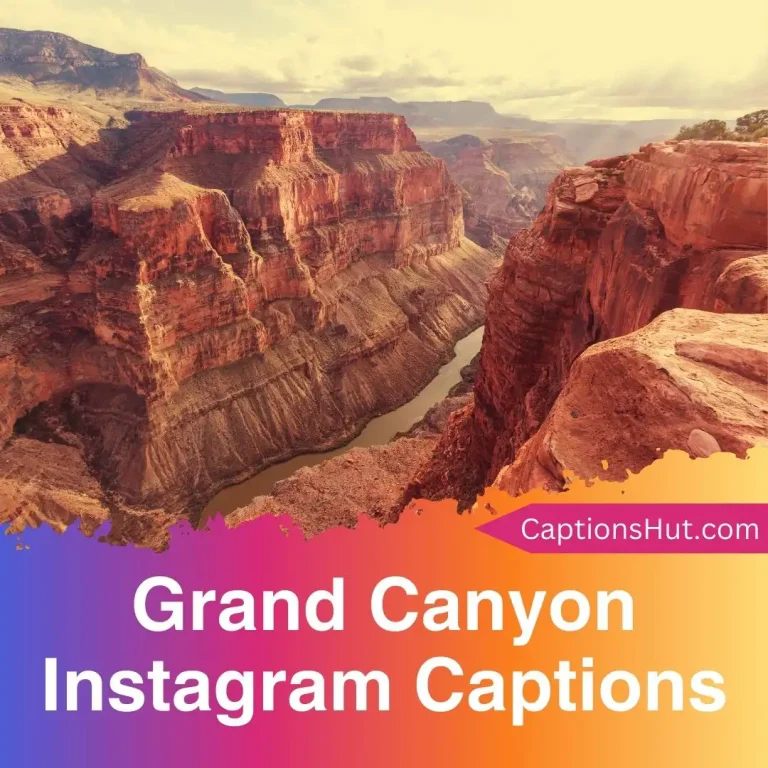 150+ Grand Canyon Instagram Captions With Emojis, Copy-Paste