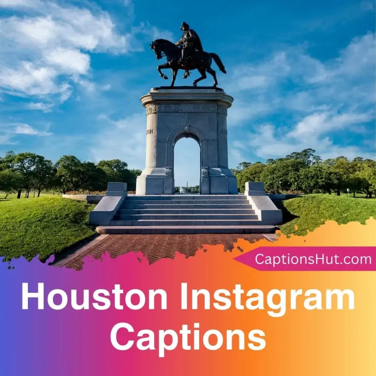 200+ Houston Instagram Captions With Emojis, Copy-Paste