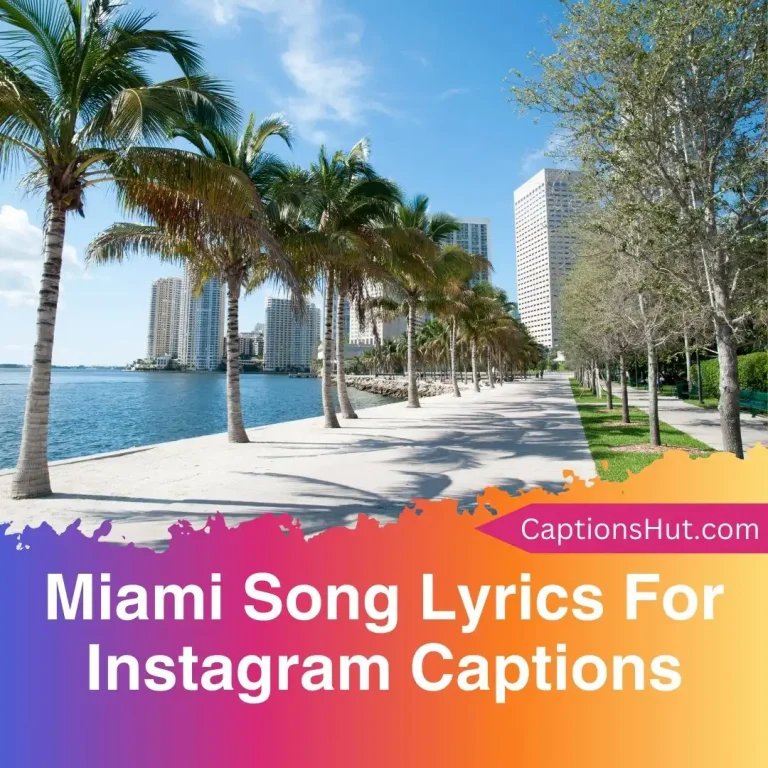 150+ Miami Song Lyrics For Instagram Captions With Emojis