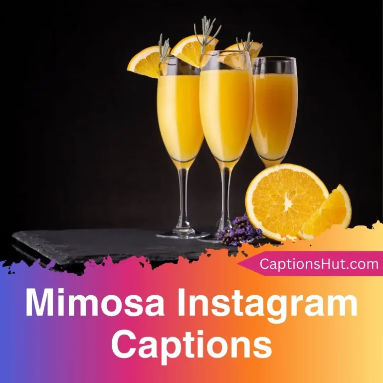 150+ Mimosa Instagram Captions With Emojis, Copy-Paste