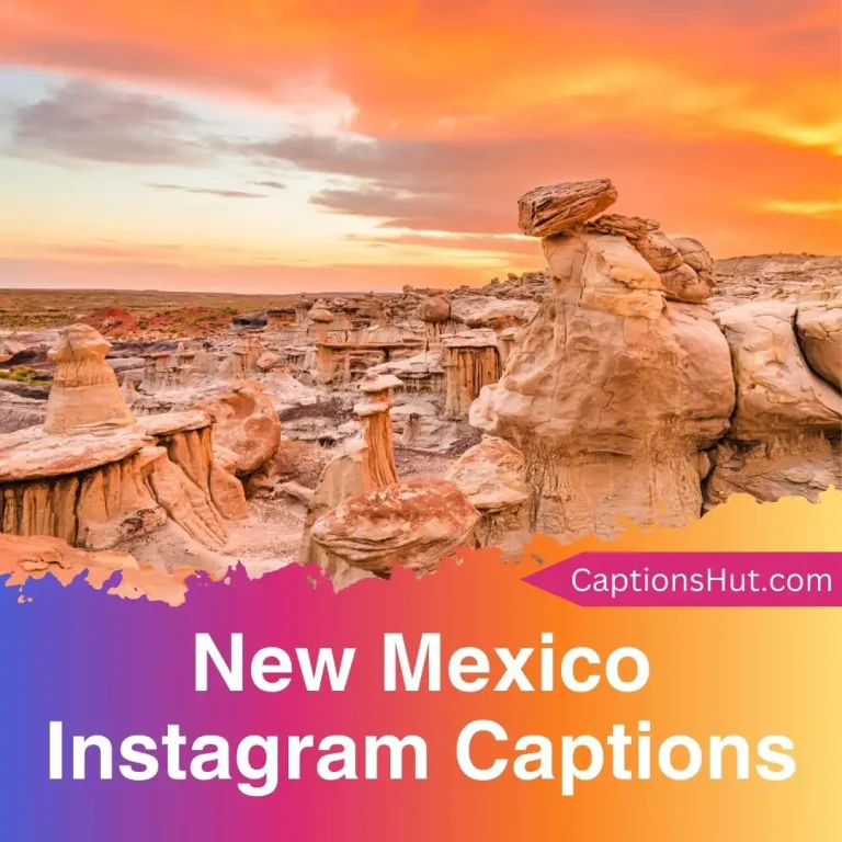 150+ New Mexico Instagram Captions With Emojis, Copy-Paste