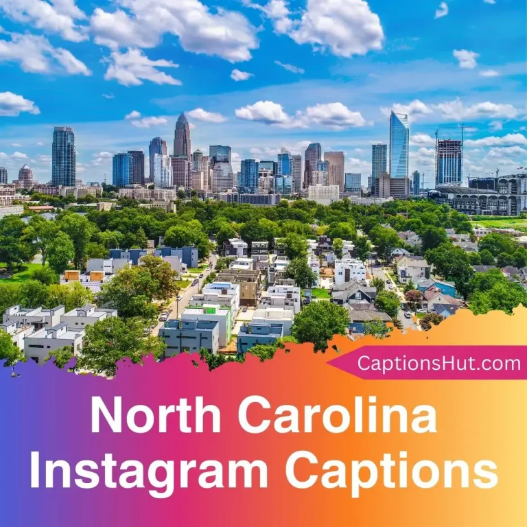 200+ North Carolina Instagram Captions With Emojis, Copy-Paste