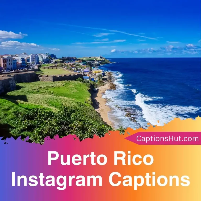 200+ Puerto Rico Instagram Captions With Emojis, Copy-Paste