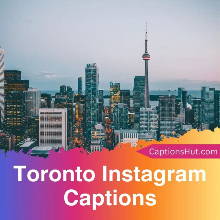 250+ Toronto Instagram Captions With Emojis, Copy-Paste