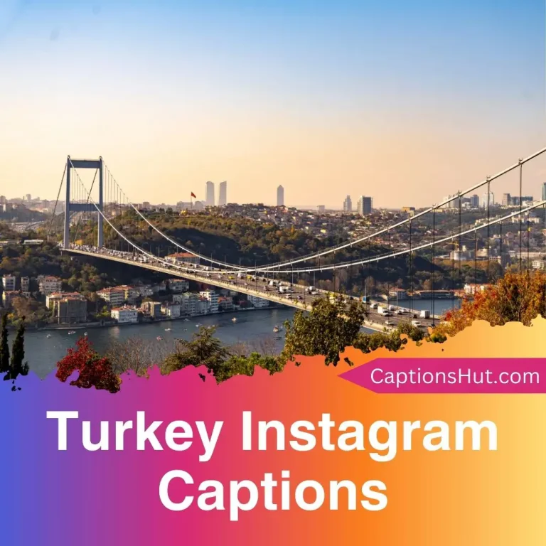 200+ Turkey Instagram Captions With Emojis, Copy-Paste