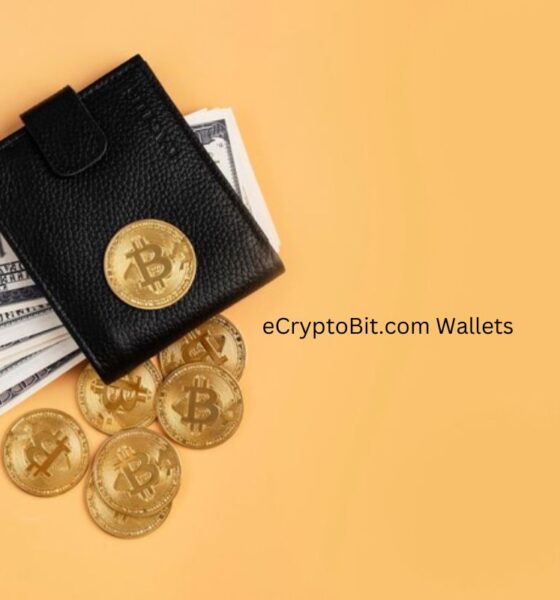 eCryptoBit.com Wallets